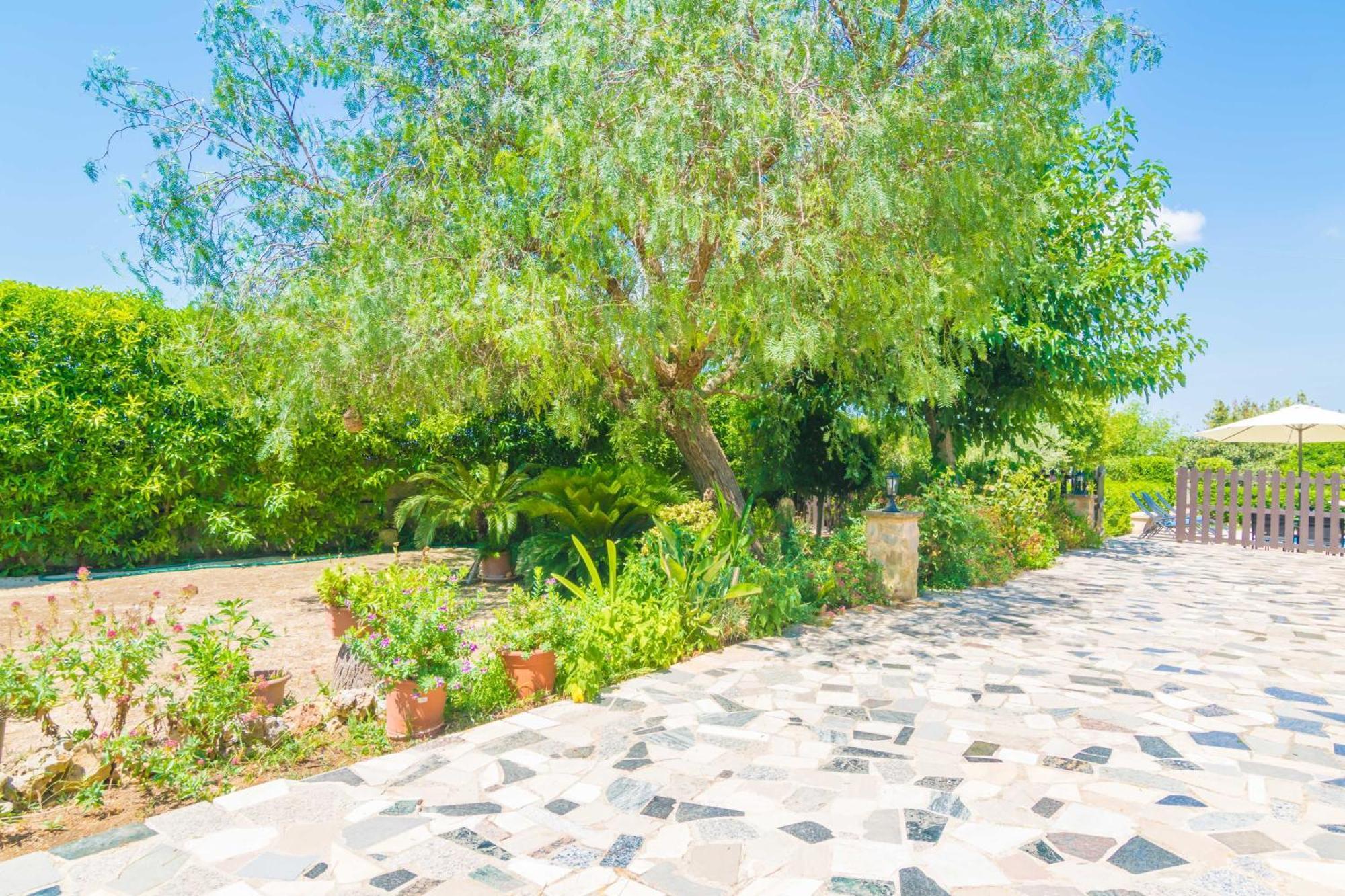 Villa Fernando Manacor  Exteriér fotografie